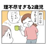 理不尽すぎる2歳児